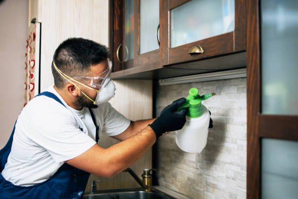 Best Pest Control for Homes  in Palmetto, FL