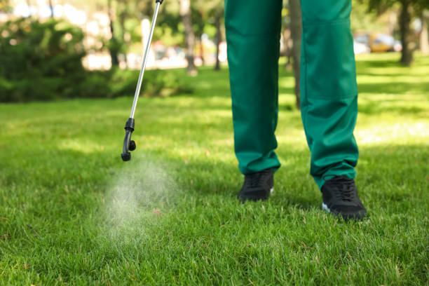 Best Pest Prevention Services  in Palmetto, FL