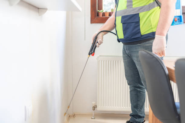 Best Bed Bug Extermination  in Palmetto, FL