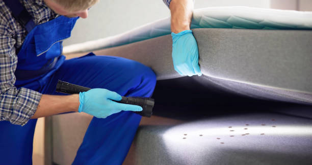 Best Exterminator Services  in Palmetto, FL