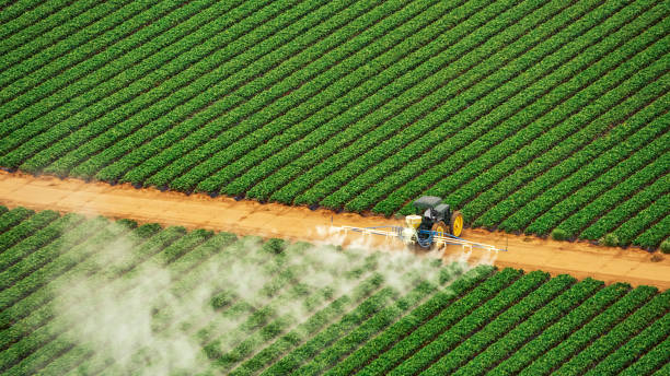 Best Pest Control Cost  in Palmetto, FL