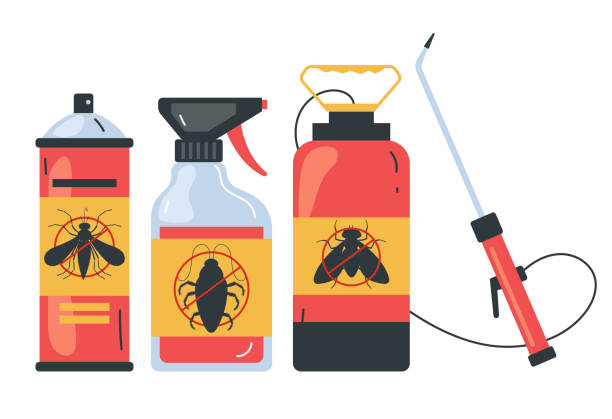 Best Termite Control Services  in Palmetto, FL