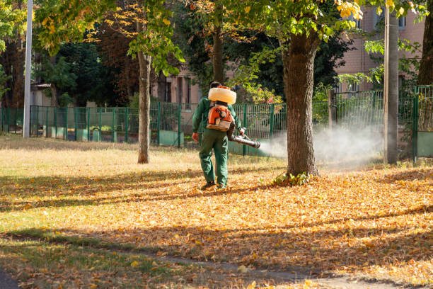Best Flea Control Services  in Palmetto, FL