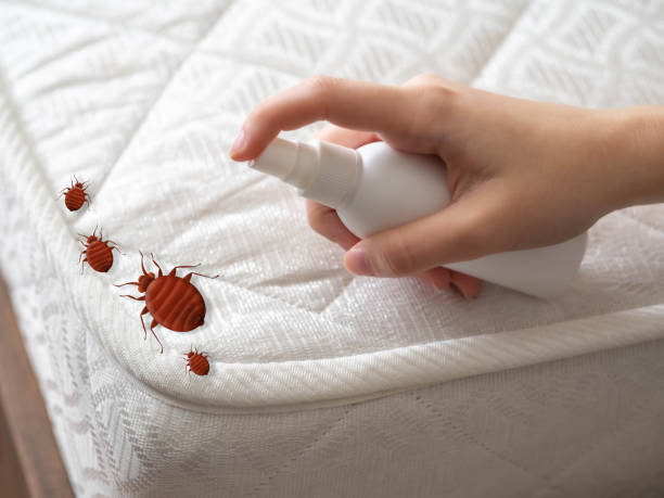 Best Best Pest Control Companies  in Palmetto, FL